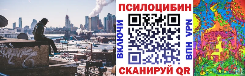 Псилоцибиновые грибы GOLDEN TEACHER  Купить закладки  Волчанск 